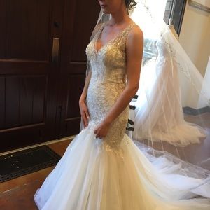 Eddy K Couture Style CT187